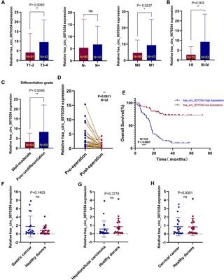 Comprehensive Assessment of Serum hsa_circ_0070354 as a Novel Diagnostic and Predictive Biomarker in Non-small Cell Lung Cancer